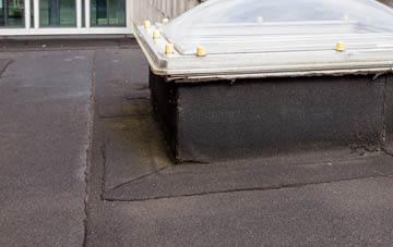 disadvantages of Lovedean flat roofs