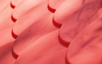 Lovedean plastic roof costs